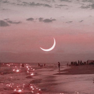 Meet your Posher, Stephanye